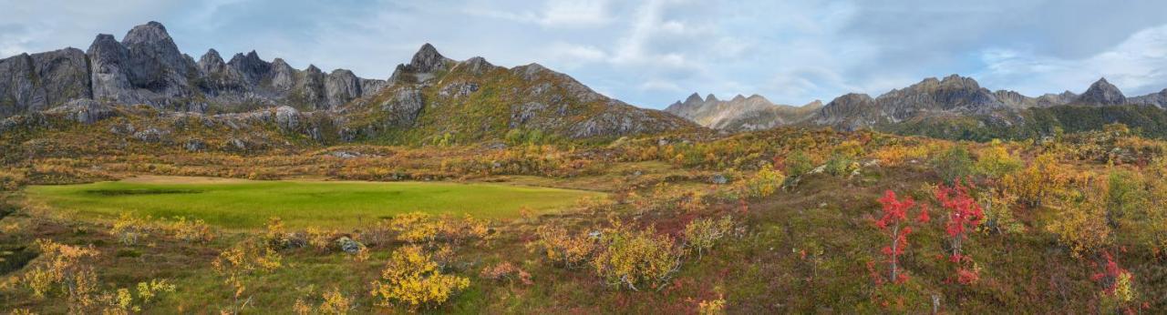 Wildlife Panorama Lofoten Bostad Exterior photo
