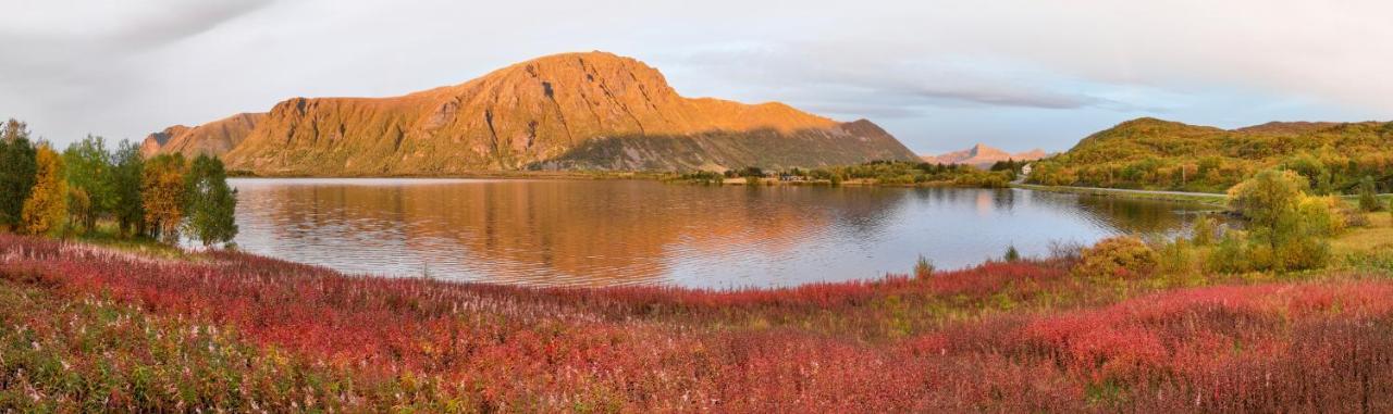 Wildlife Panorama Lofoten Bostad Exterior photo