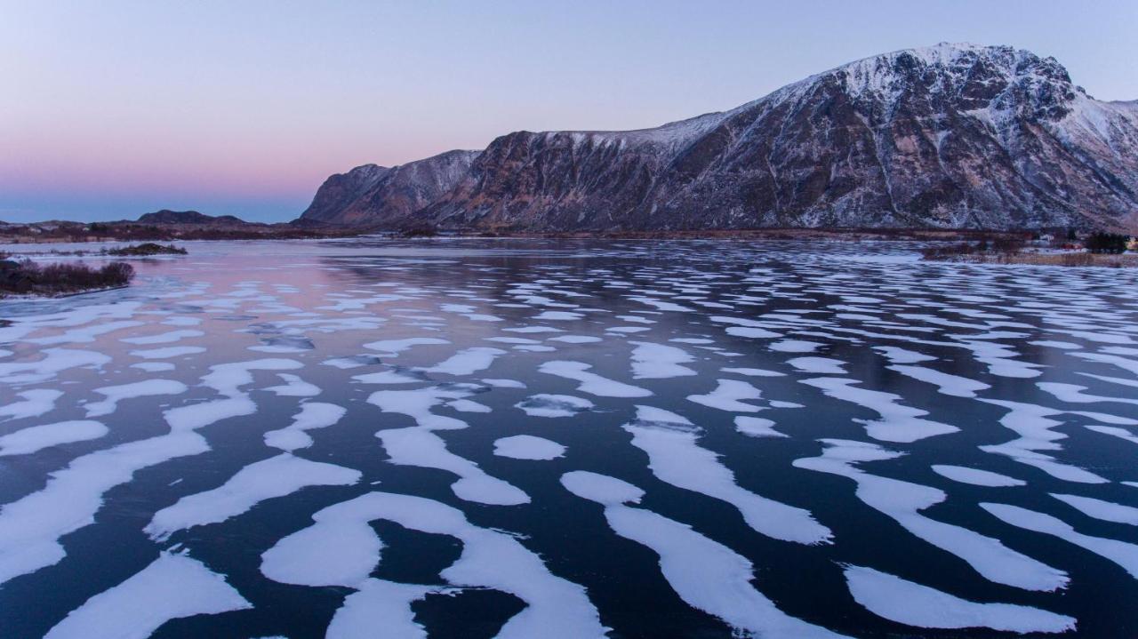Wildlife Panorama Lofoten Bostad Exterior photo